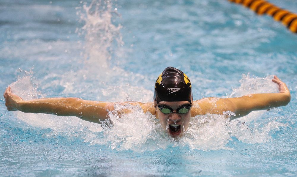 Iowa's Matjaz Rozman competes in the 200-yard butterfly during the third day of the Hawkeye Invitational at the Campus Recreation and Wellness Center on November 17, 2018. (Tork Mason/hawkeyesports.com)