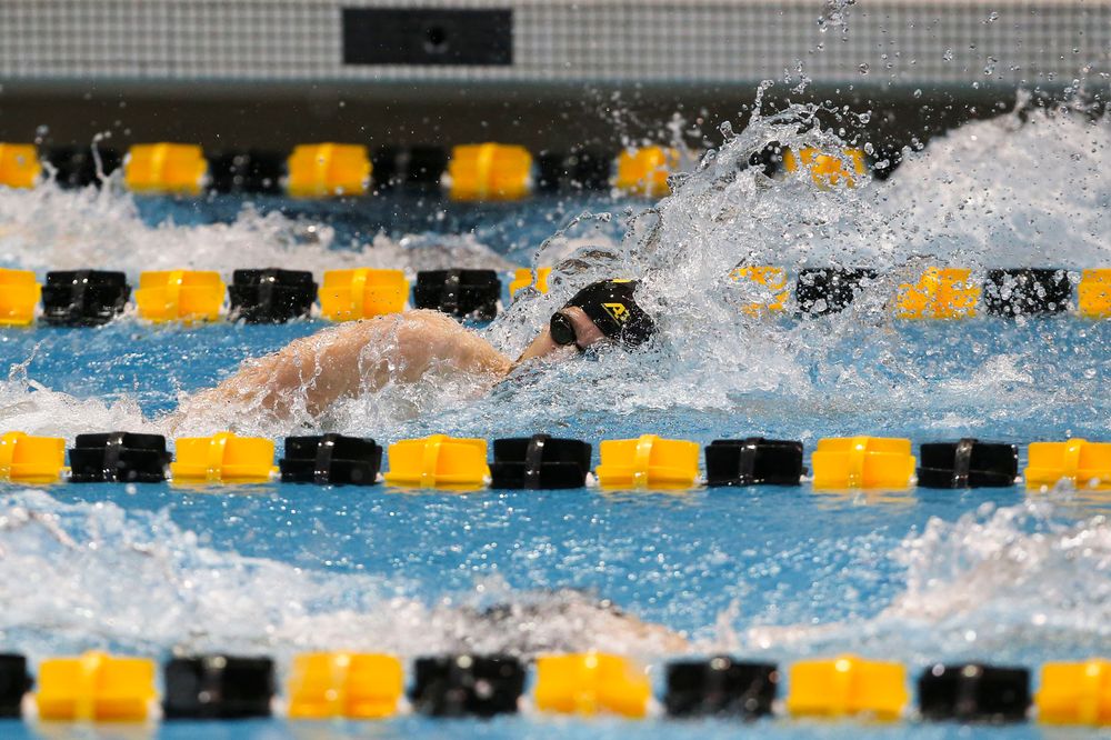 Iowa’s Jackson Allmon during Iowa swim and dive vs Minnesota on Saturday, October 26, 2019 at the Campus Wellness and Recreation Center. (Lily Smith/hawkeyesports.com)