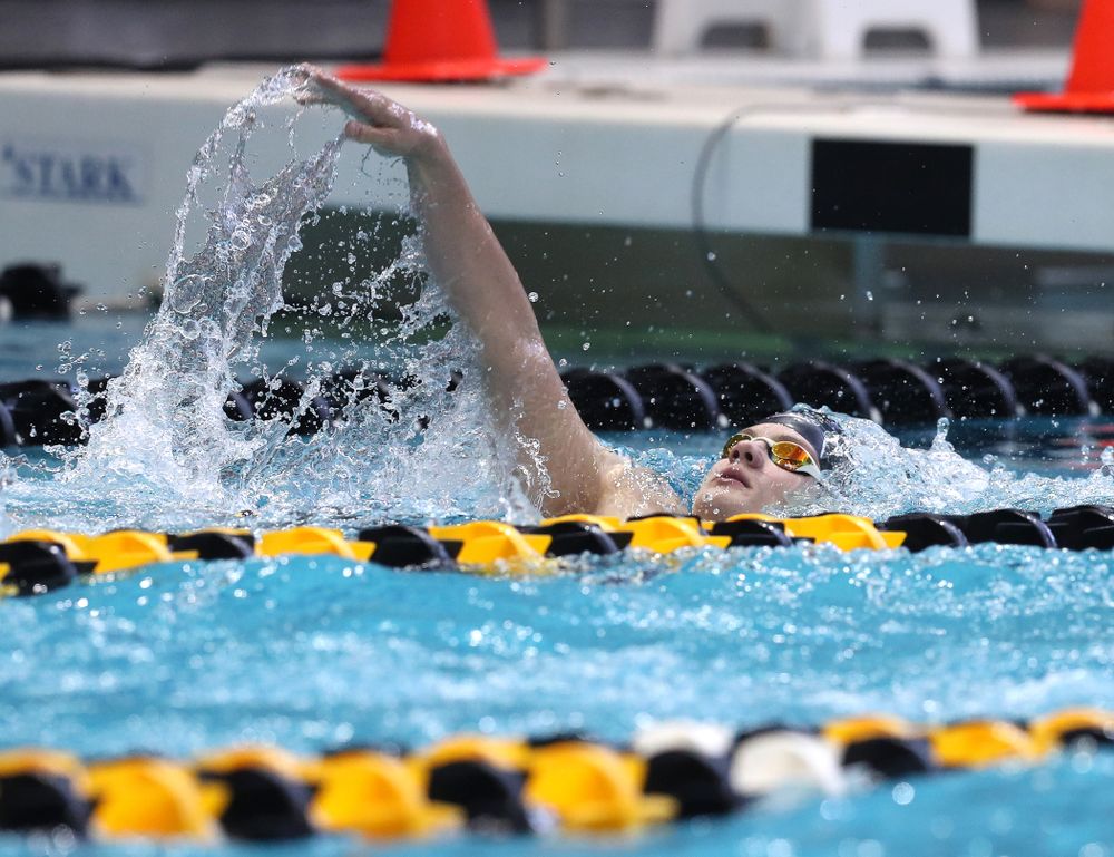 Iowa's Anze Fers Erzen competes in the 400-yard IM on the third day at the 2019 Big Ten Swimming and Diving Championships Thursday, February 28, 2019 at the Campus Wellness and Recreation Center. (Brian Ray/hawkeyesports.com)