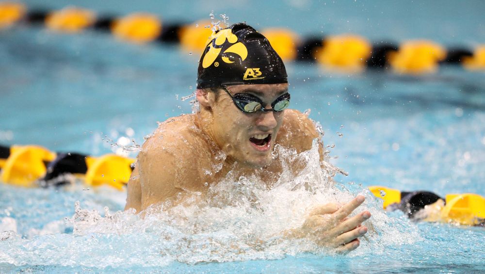 Iowa's Daniel Swanepoel swims the breaststroke leg of the 200 yard medley relay during a double dual against Wisconsin and Northwestern Saturday, January 19, 2019 at the Campus Recreation and Wellness Center. (Brian Ray/hawkeyesports.com)