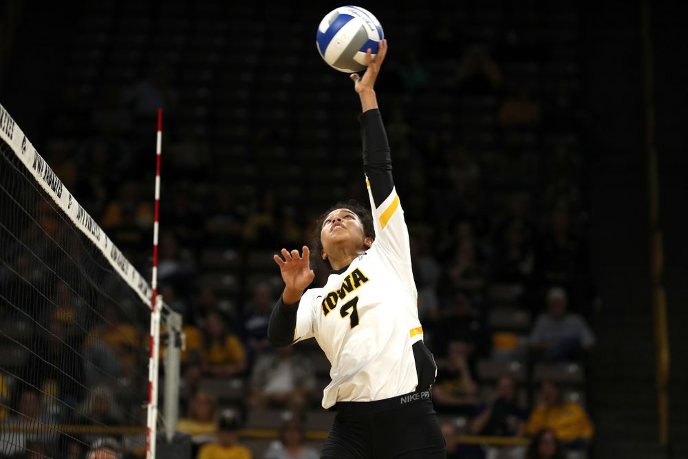 Iowa Hawkeyes setter Brie Orr (7) against the Minnesota Golden Gophers Wednesday, October 2, 2019 at Carver-Hawkeye Arena. (Brian Ray/hawkeyesports.com)