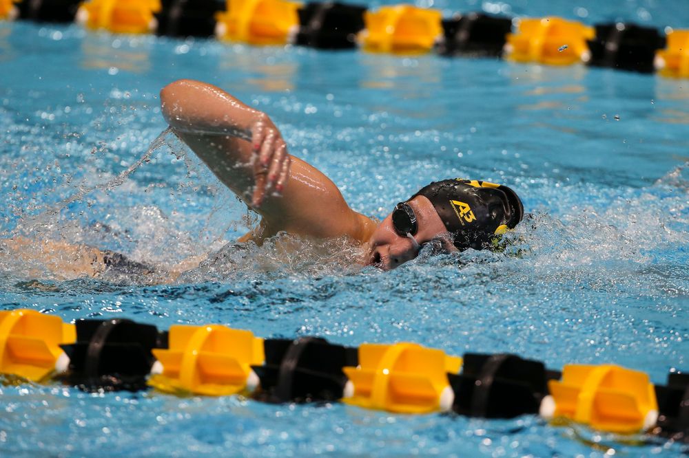 Iowa’s Taylor Hartley during Iowa swim and dive vs Minnesota on Saturday, October 26, 2019 at the Campus Wellness and Recreation Center. (Lily Smith/hawkeyesports.com)