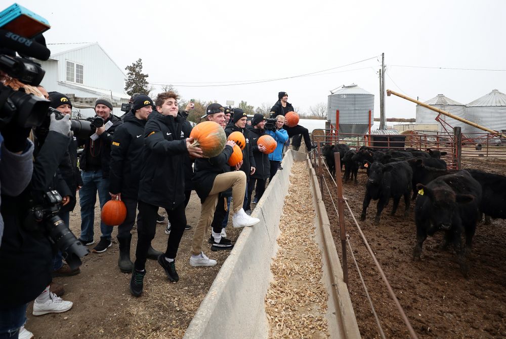 Members of the Iowa Wrestling team throw pumpkins into the cow pen during the teamÕs annual media day Wednesday, October 30, 2019 at Kroul Family Farms in Mount Vernon. (Brian Ray/hawkeyesports.com)