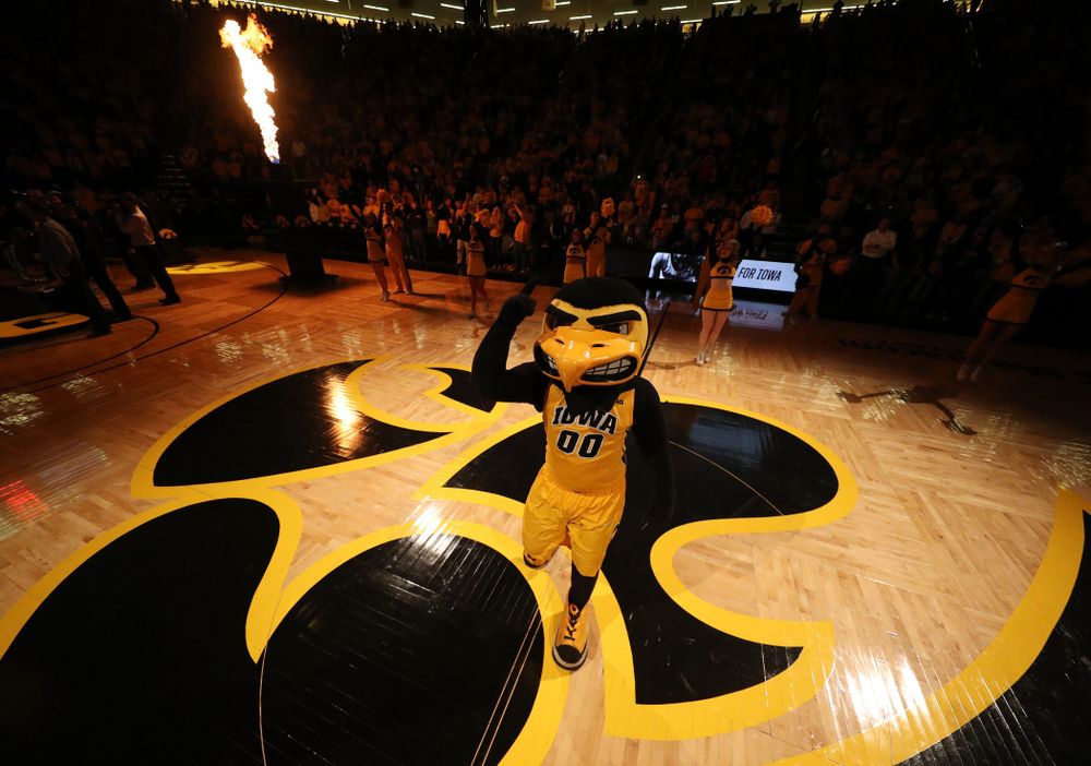 Herky The Hawk against the Wisconsin Badgers Friday, November 30, 2018 at Carver-Hawkeye Arena. (Brian Ray/hawkeyesports.com)