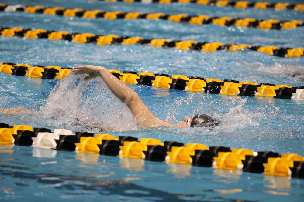 Iowa's Anze Fers Erzan at the 400-yard medley race  Friday, March 1, 2019 at the Campus Recreation and Wellness Center. (Lily Smith/hawkeyesports.com)