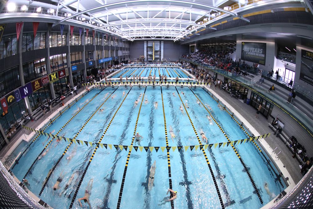 The third day of the 2019 Big Ten Swimming and Diving Championships Thursday, February 28, 2019 at the Campus Wellness and Recreation Center. (Brian Ray/hawkeyesports.com)
