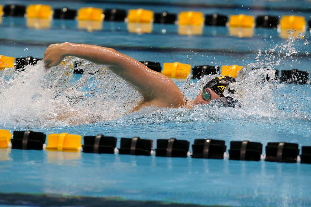 Iowa’s Payton Lange during Iowa swim and dive vs Minnesota on Saturday, October 26, 2019 at the Campus Wellness and Recreation Center. (Lily Smith/hawkeyesports.com)