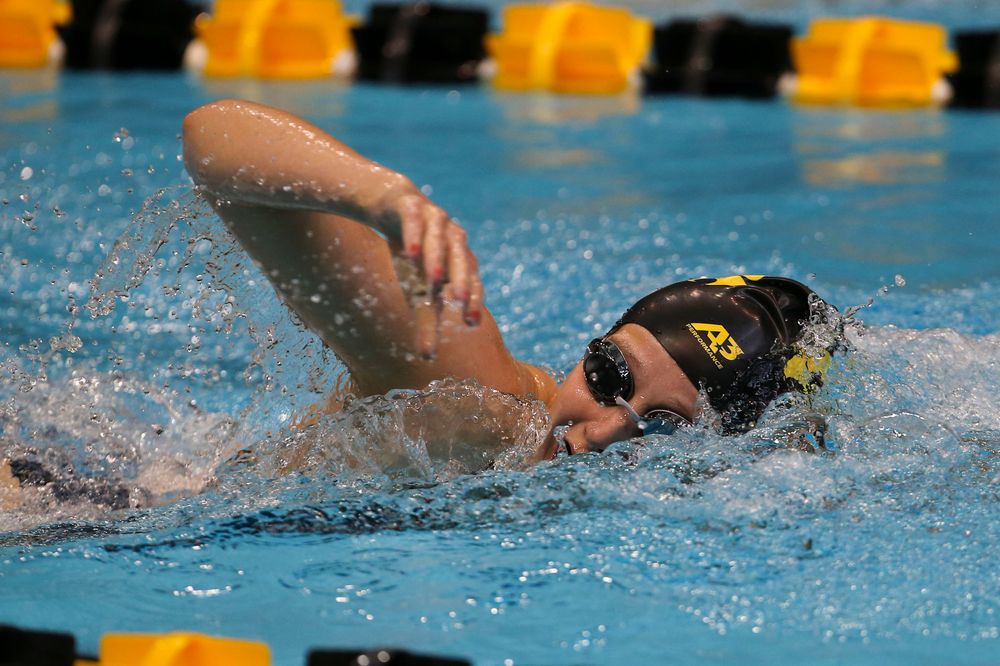 Iowa’s Taylor Hartley during Iowa swim and dive vs Minnesota on Saturday, October 26, 2019 at the Campus Wellness and Recreation Center. (Lily Smith/hawkeyesports.com)