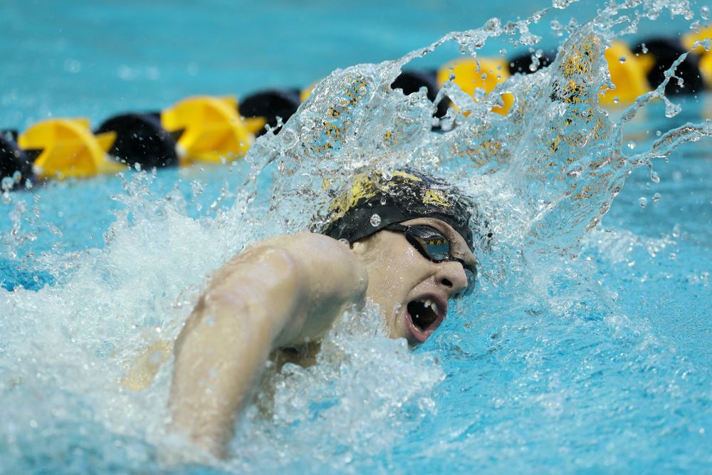 Iowa's Jackson Allmon swims the 500 yard freestyle Thursday, November 15, 2018 during the 2018 Hawkeye Invitational at the Campus Recreation and Wellness Center. (Brian Ray/hawkeyesports.com)