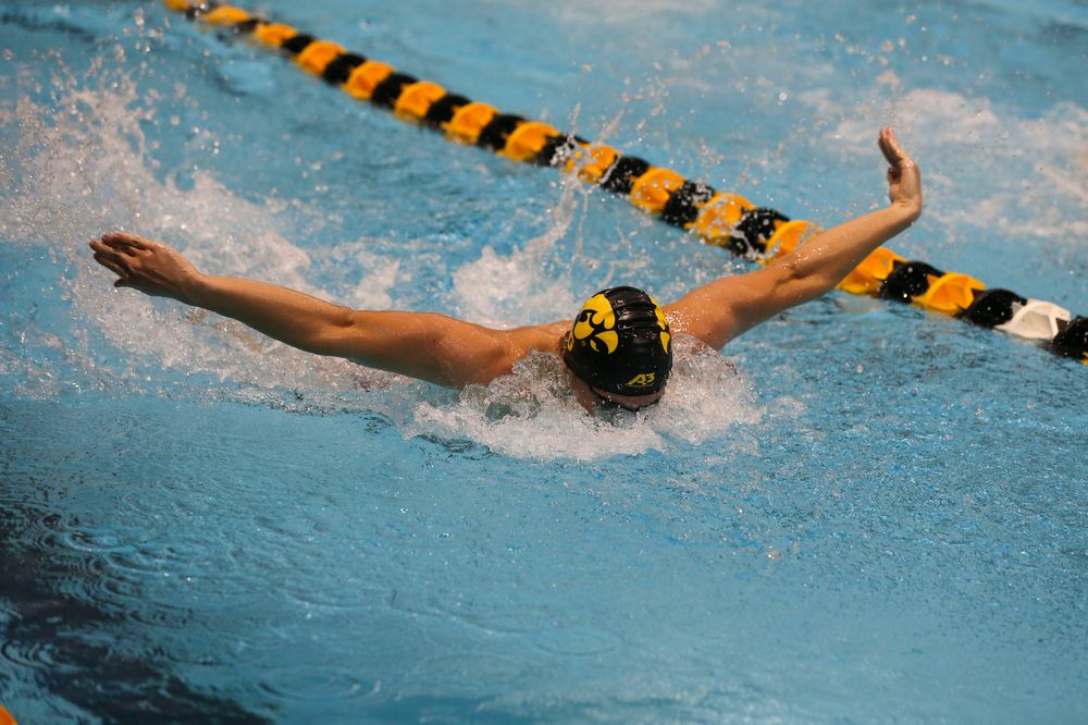 Iowa’s Evan Holt during Iowa swim and dive vs Minnesota on Saturday, October 26, 2019 at the Campus Wellness and Recreation Center. (Lily Smith/hawkeyesports.com)