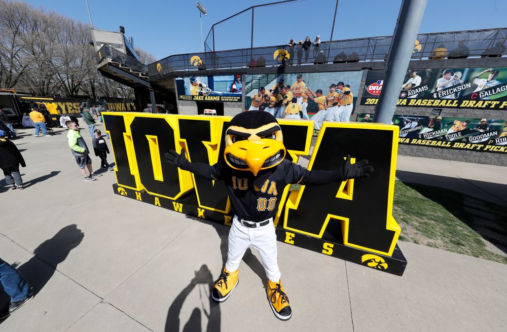 Herky before the Iowa Hawkeyes game against the Michigan Wolverines Sunday, April 29, 2018 at Duane Banks Field. (Brian Ray/hawkeyesports.com)