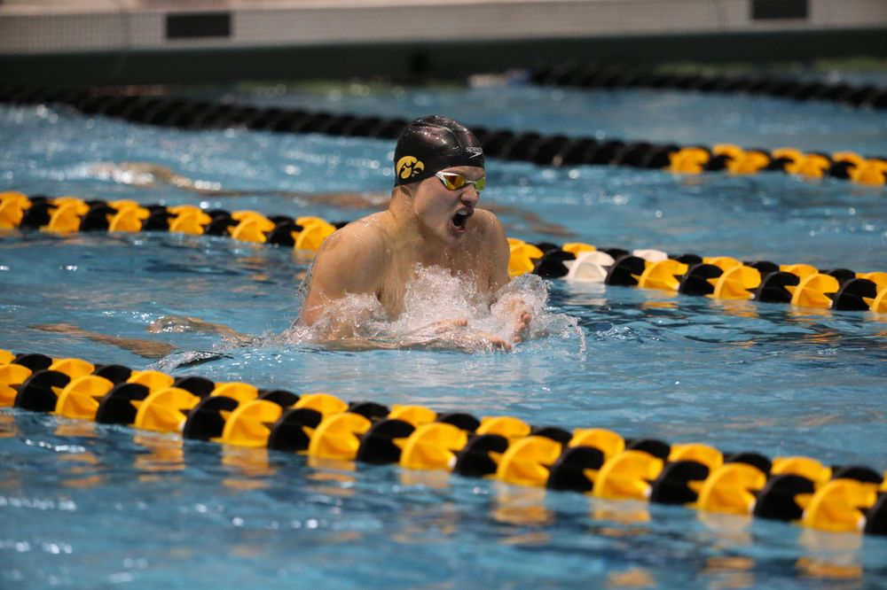 Iowa's Anze Fers Erzan at the 400-yard medley race  Friday, March 1, 2019 at the Campus Recreation and Wellness Center. (Lily Smith/hawkeyesports.com)