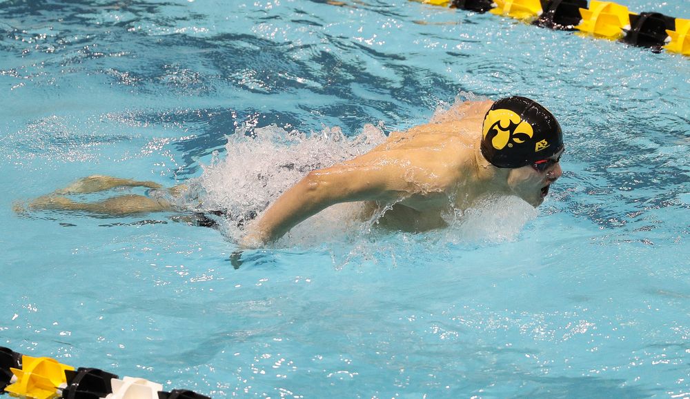 Iowa's Anze Fers Erzen competes in the 400-yard IM during the third day of the Hawkeye Invitational at the Campus Recreation and Wellness Center on November 16, 2018. (Tork Mason/hawkeyesports.com)