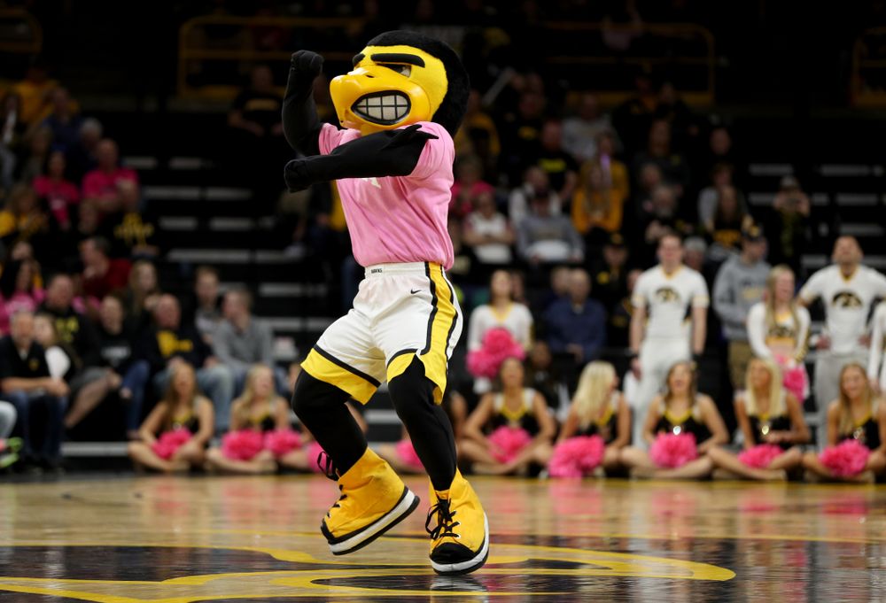 Herky The Hawk against the Wisconsin Badgers Sunday, February 16, 2020 at Carver-Hawkeye Arena. (Brian Ray/hawkeyesports.com)