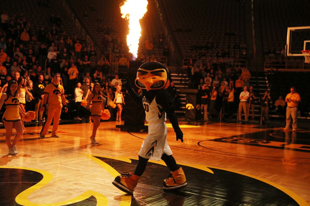 Herky The Hawk against the Rutgers Scarlet Knights Wednesday, January 23, 2019 at Carver-Hawkeye Arena. (Brian Ray/hawkeyesports.com)