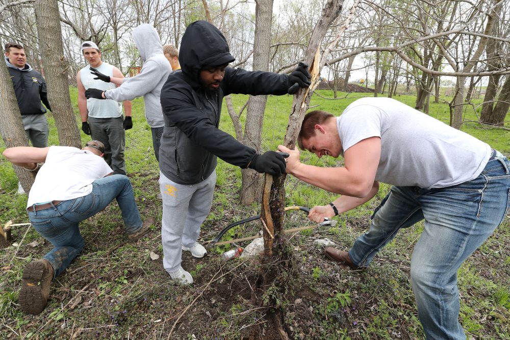 Members of the Hawkeye Football team volunteer with the Iowa City Public Works department along the Iowa River during the annual Iowa Athletics Day of Caring  Sunday, April 28, 2019 in Iowa City. (Brian Ray/hawkeyesports.com)