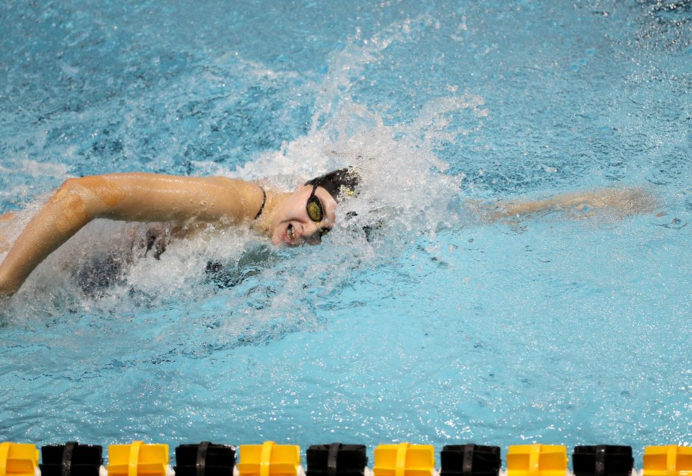 IowaÕs Maddie Ziegert swims the 100 yard freestyle against the Michigan Wolverines Friday, November 1, 2019 at the Campus Recreation and Wellness Center. (Brian Ray/hawkeyesports.com)