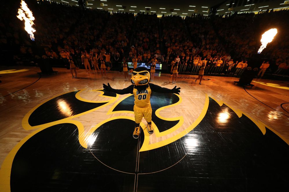 Herky against the Wisconsin Badgers Friday, November 30, 2018 at Carver-Hawkeye Arena. (Brian Ray/hawkeyesports.com)