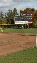 Banks Field Update Taking Shape