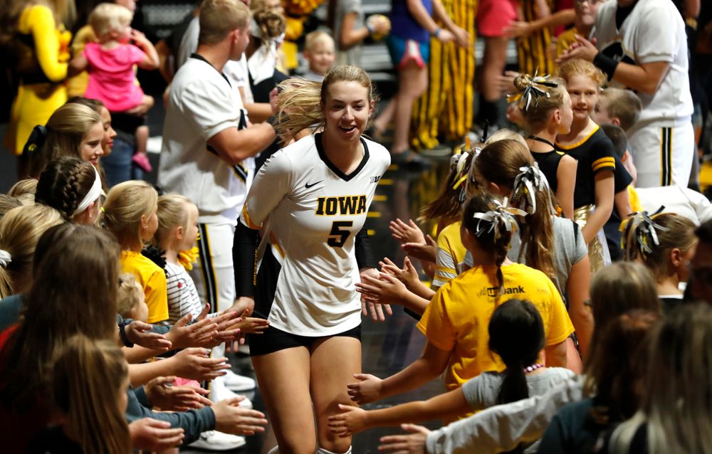 Iowa Hawkeyes outside hitter Meghan Buzzerio (5) against the Michigan Wolverines Sunday, September 23, 2018 at Carver-Hawkeye Arena. (Brian Ray/hawkeyesports.com)
