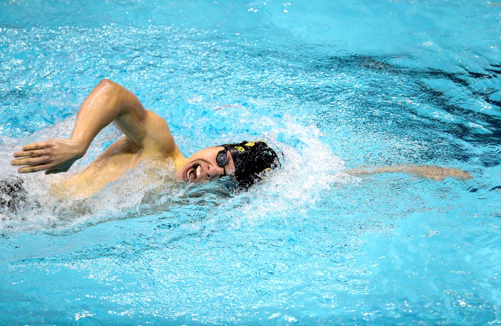 Iowa's Mateusz Arndt  swims the 1000 yard freestyle during a double dual against Wisconsin and Northwestern Saturday, January 19, 2019 at the Campus Recreation and Wellness Center. (Brian Ray/hawkeyesports.com)