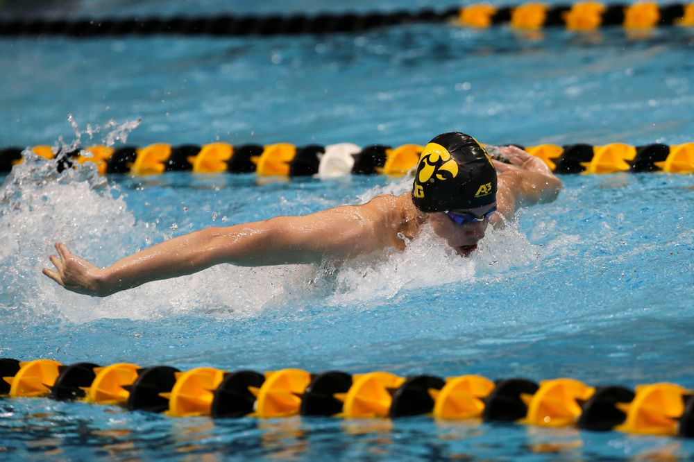 Iowa’s Dolan Craine during Iowa swim and dive vs Minnesota on Saturday, October 26, 2019 at the Campus Wellness and Recreation Center. (Lily Smith/hawkeyesports.com)