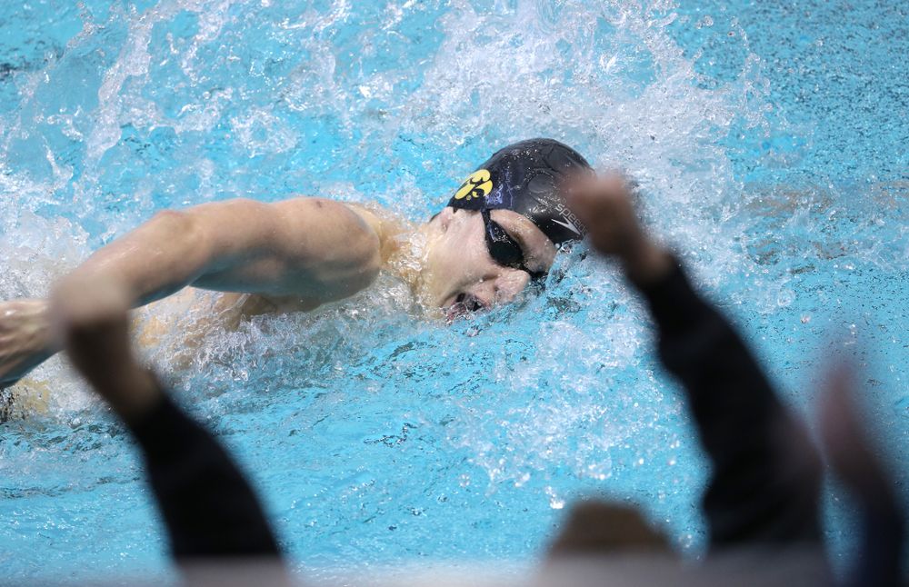 Iowa's Jackson Allmon swims in the preliminaries of the 500-yard freestyle during the 2019 Big Ten Swimming and Diving Championships Thursday, February 28, 2019 at the Campus Wellness and Recreation Center. (Brian Ray/hawkeyesports.com)
