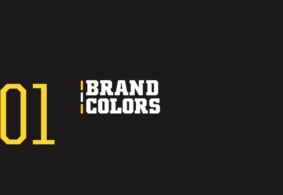 Color  Brand Manual - The University of Iowa