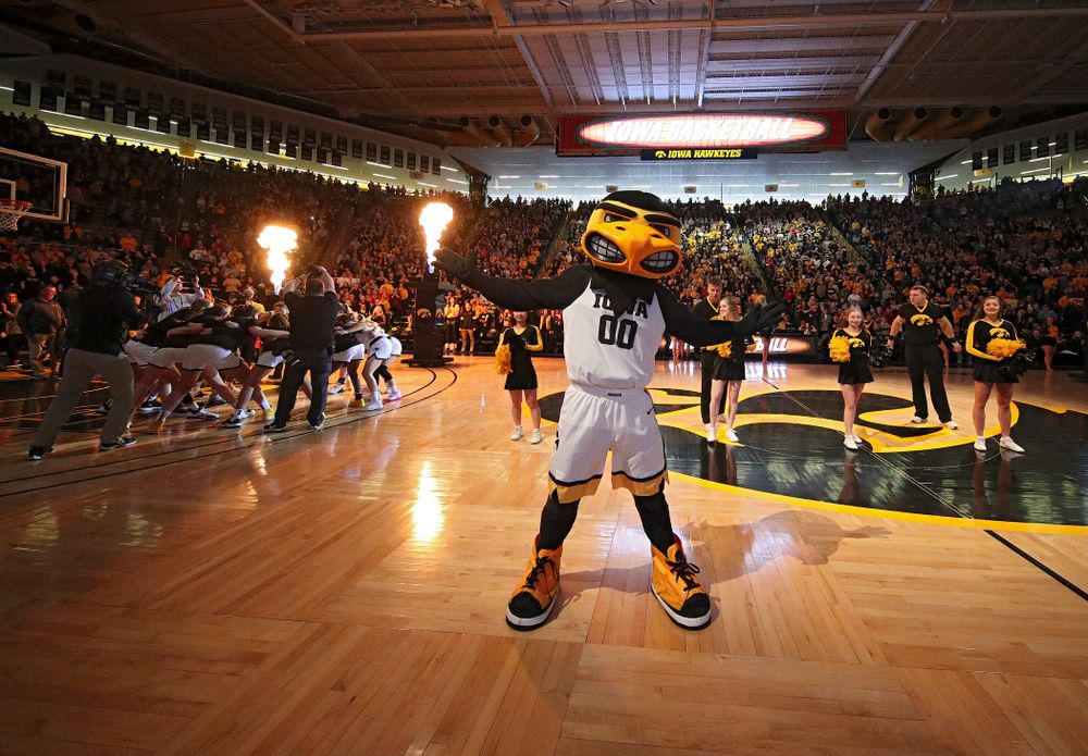 Herky on the court before the start of the game at Carver-Hawkeye Arena in Iowa City on Sunday, January 26, 2020. (Stephen Mally/hawkeyesports.com)
