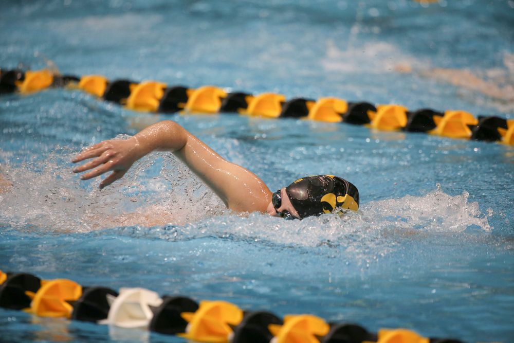 Iowa’s Taylor Hartley swims the 500-yard freestyle during the Iowa swimming and diving meet vs Notre Dame and Illinois on Saturday, January 11, 2020 at the Campus Recreation and Wellness Center. (Lily Smith/hawkeyesports.com)