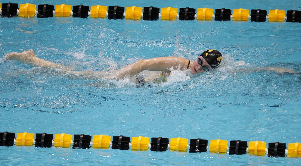 Iowa's Alleyne Thomas competes in the 500-yard freestyle during a meet against Michigan and Denver at the Campus Recreation and Wellness Center on November 3, 2018. (Tork Mason/hawkeyesports.com)