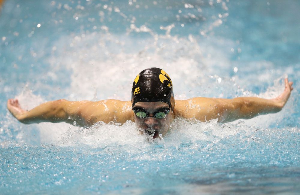 Iowa's Michael Brzus competes in the 100-yard butterfly during the third day of the Hawkeye Invitational at the Campus Recreation and Wellness Center on November 16, 2018. (Tork Mason/hawkeyesports.com)