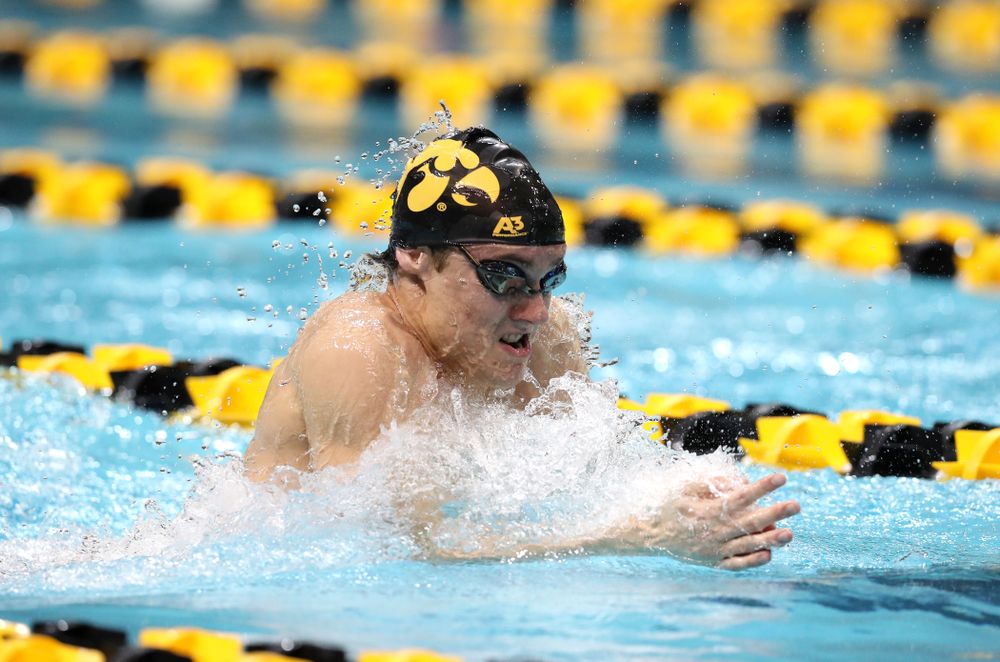 Iowa's Daniel Swanepoel swims the breaststroke leg of the 200 medley relay at the 2019 Big Ten Swimming and Diving meet  Wednesday, February 27, 2019 at the Campus Wellness and Recreation Center. (Brian Ray/hawkeyesports.com)