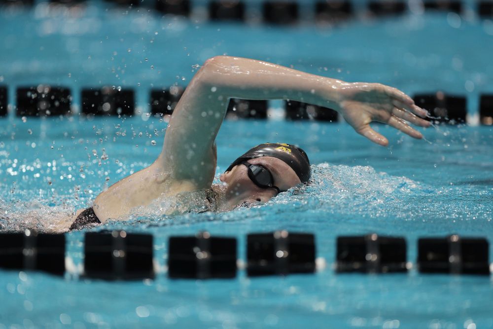 Iowa's Taylor Hartley swims the 500 yard freestyle Thursday, November 15, 2018 during the 2018 Hawkeye Invitational at the Campus Recreation and Wellness Center. (Brian Ray/hawkeyesports.com)