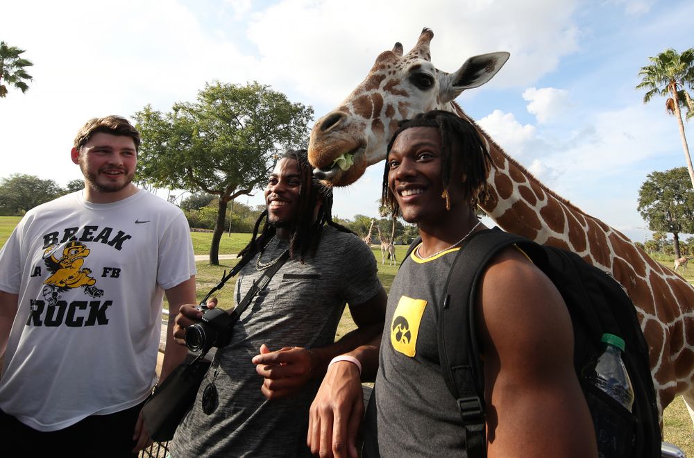 Iowa Hawkeyes wide receiver Brandon Smith (12) and Iowa Hawkeyes defensive back Devonte Young (17) take a photo with a giraffe during an Outback Bowl team event Saturday, December 29, 2018 at Busch Gardens in Tampa, FL. (Brian Ray/hawkeyesports.com)