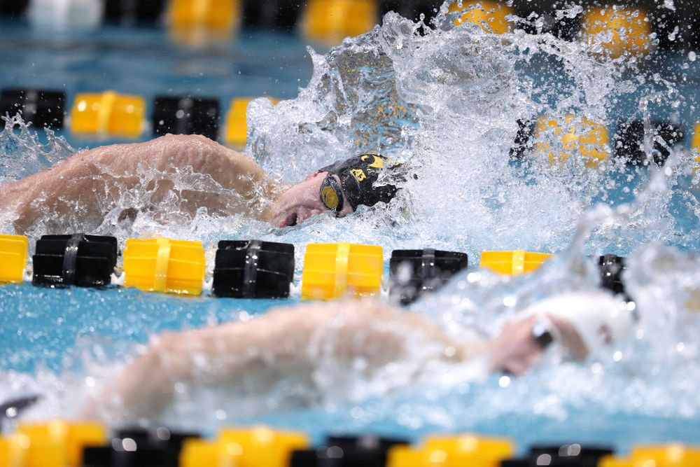 Iowa's Michael Tenney swims in the preliminaries of the 500-yard freestyle during the 2019 Big Ten Swimming and Diving Championships Thursday, February 28, 2019 at the Campus Wellness and Recreation Center. (Brian Ray/hawkeyesports.com)