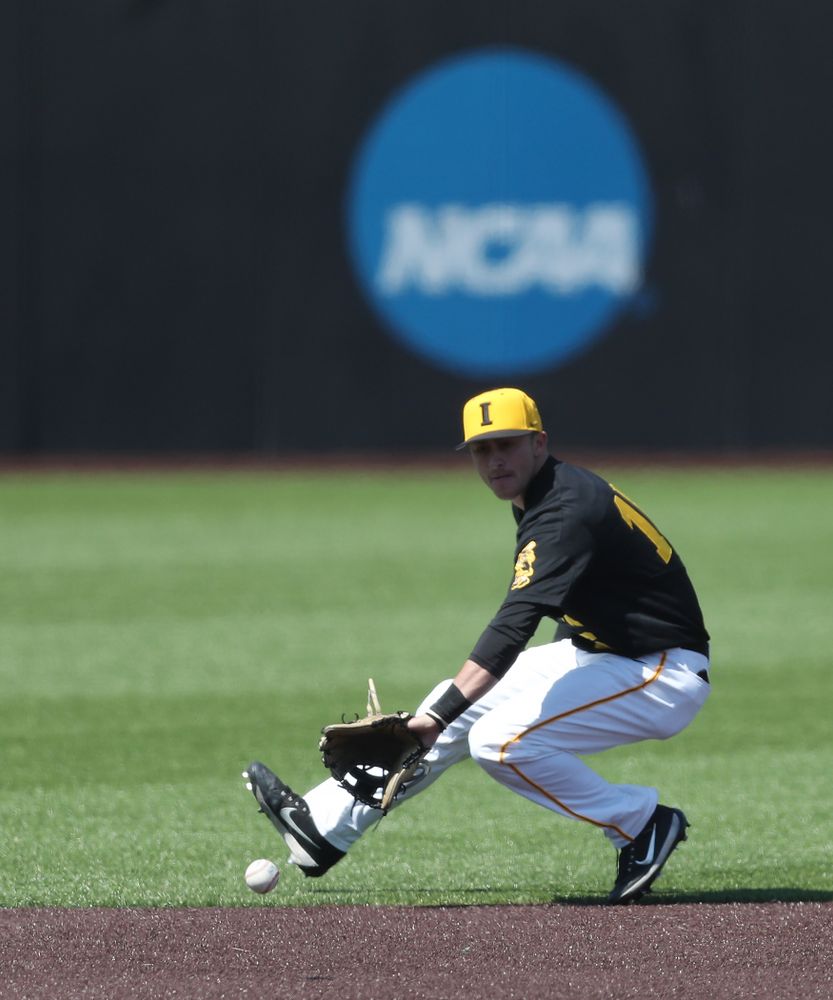 Iowa Hawkeyes Tanner Wetrich (16) during game two against UC Irvine Saturday, May 4, 2019 at Duane Banks Field. (Brian Ray/hawkeyesports.com)