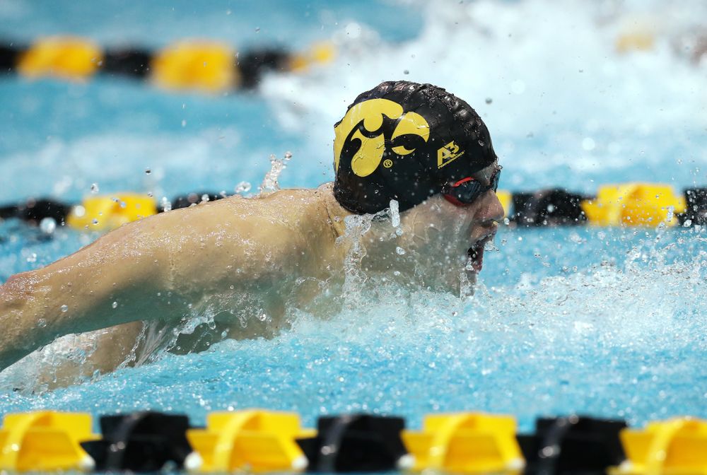 Iowa's Anze Fers Erzen swims the 200 yard Individual Medley Thursday, November 15, 2018 during the 2018 Hawkeye Invitational at the Campus Recreation and Wellness Center. (Brian Ray/hawkeyesports.com)