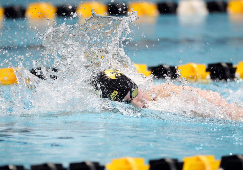 IowaÕs Erin Lang swims the 200 yard freestyle agains the Michigan Wolverines Friday, November 1, 2019 at the Campus Recreation and Wellness Center. (Brian Ray/hawkeyesports.com)