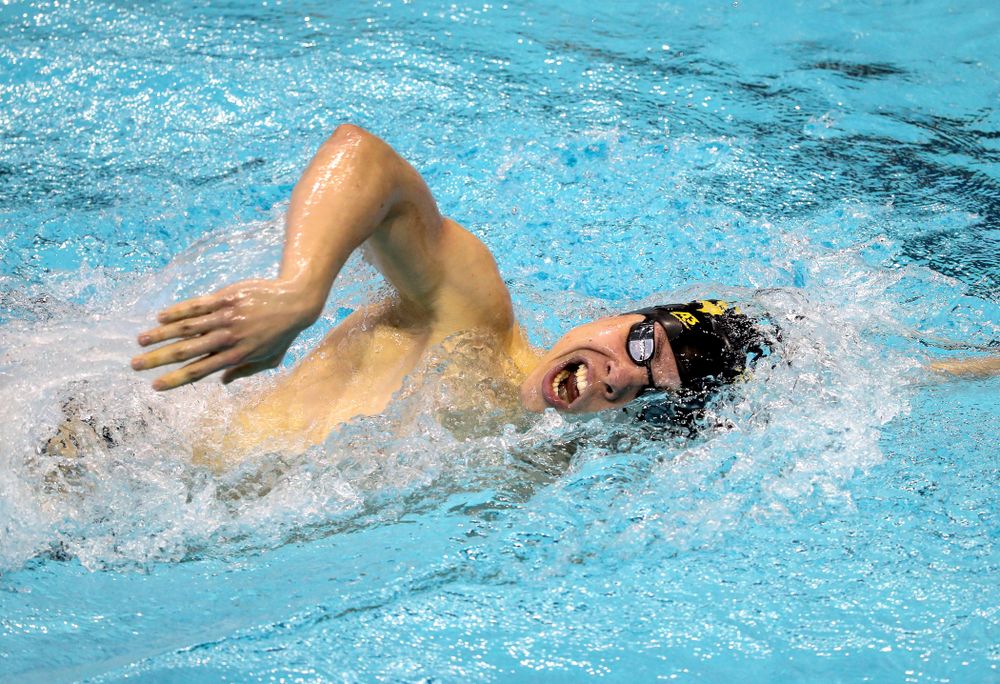 Iowa's Mateusz Arndt  swims the 1000 yard freestyle during a double dual against Wisconsin and Northwestern Saturday, January 19, 2019 at the Campus Recreation and Wellness Center. (Brian Ray/hawkeyesports.com)