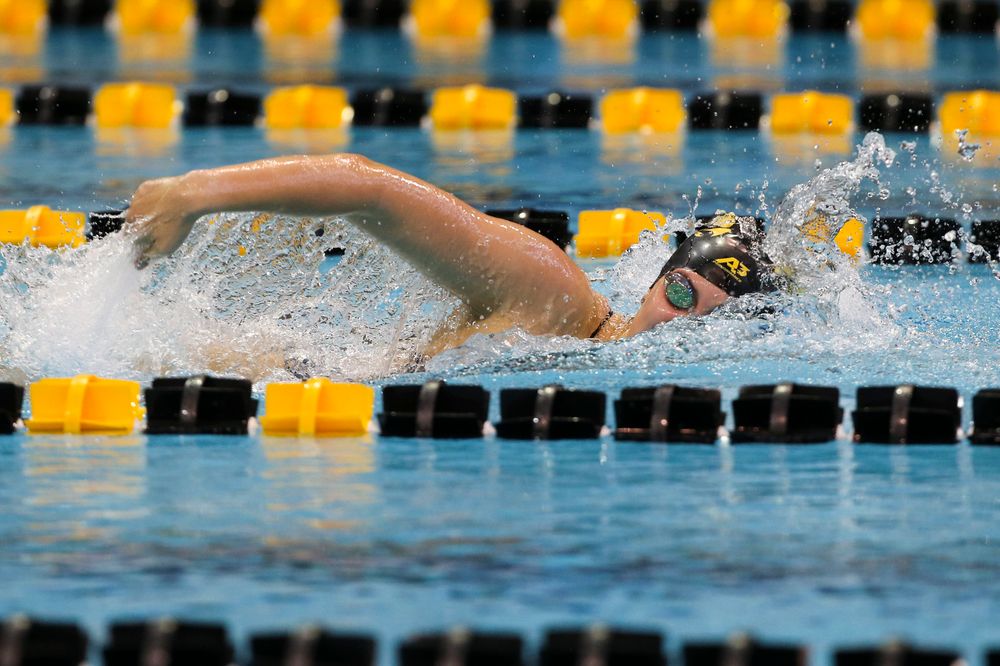 Iowa’s Payton Lange during Iowa swim and dive vs Minnesota on Saturday, October 26, 2019 at the Campus Wellness and Recreation Center. (Lily Smith/hawkeyesports.com)