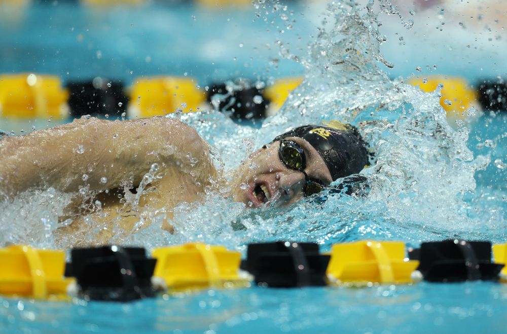 Iowa's Michael Tenney swims the 500 yard freestyle Thursday, November 15, 2018 during the 2018 Hawkeye Invitational at the Campus Recreation and Wellness Center. (Brian Ray/hawkeyesports.com)