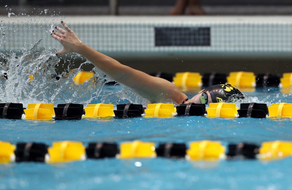 IowaÕs Helena Blumenau swims the 1,000 yard freestyle agains the Michigan Wolverines Friday, November 1, 2019 at the Campus Recreation and Wellness Center. (Brian Ray/hawkeyesports.com)