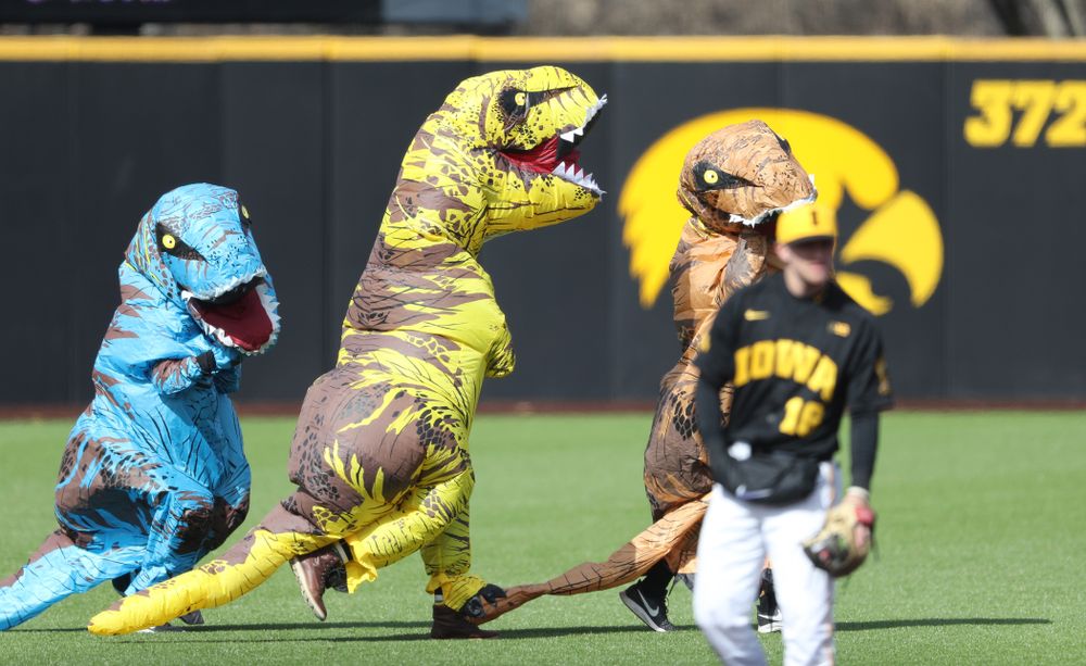 The Iowa Baseball T-Rex Race against California State Northridge Sunday, March 17, 2019 at Duane Banks Field. (Brian Ray/hawkeyesports.com)