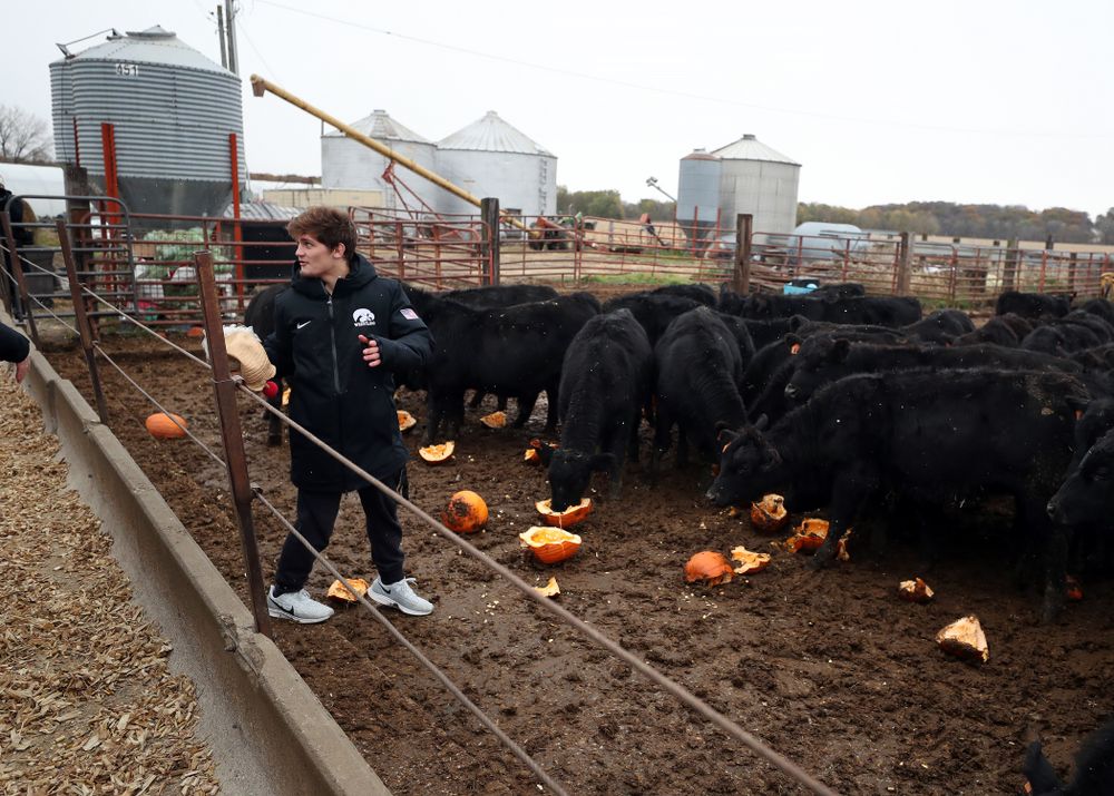 Wrestler Gavin Teasdale climbs into the cow pen during the teamÕs annual media day Wednesday, October 30, 2019 at Kroul Family Farms in Mount Vernon. (Brian Ray/hawkeyesports.com)