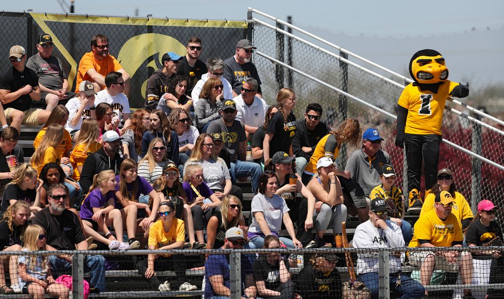 Herky stands along the third base line during the first inning of their game against Ohio State at Pearl Field in Iowa City on Saturday, May. 4, 2019. (Stephen Mally/hawkeyesports.com)