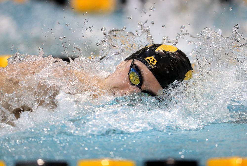 Iowa's Aleksey Tarasenko swims the 200 yard freestyle during a double dual against Wisconsin and Northwestern Saturday, January 19, 2019 at the Campus Recreation and Wellness Center. (Brian Ray/hawkeyesports.com)