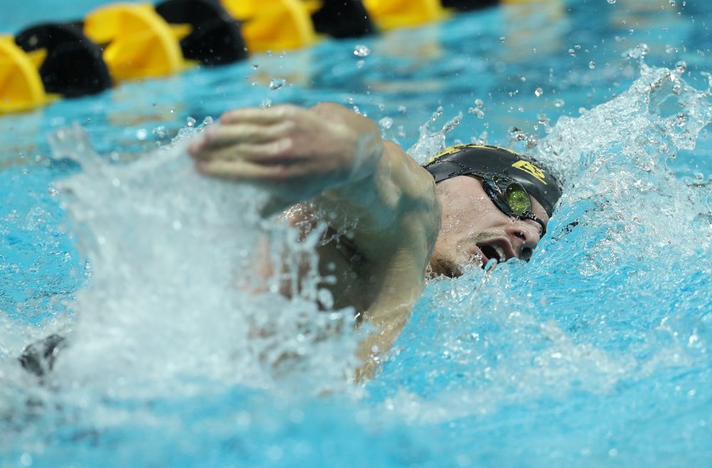 Iowa's Tom Schab swims the 500 yard freestyle Thursday, November 15, 2018 during the 2018 Hawkeye Invitational at the Campus Recreation and Wellness Center. (Brian Ray/hawkeyesports.com)