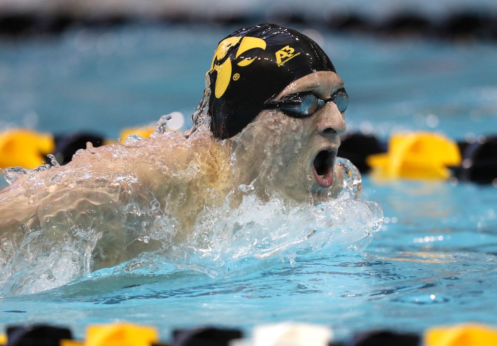 Iowa's Jackson Kuhlers swims the 200 yard butterfly during a double dual against Wisconsin and Northwestern Saturday, January 19, 2019 at the Campus Recreation and Wellness Center. (Brian Ray/hawkeyesports.com)