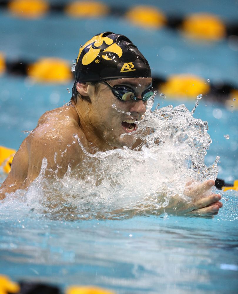Iowa's Daniel Swanepoel swims the 100 yard breaststroke during a double dual against Wisconsin and Northwestern Saturday, January 19, 2019 at the Campus Recreation and Wellness Center. (Brian Ray/hawkeyesports.com)